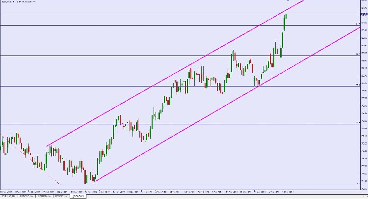 dxy.jpg