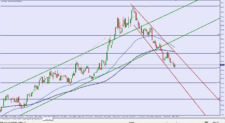 dxy.jpg