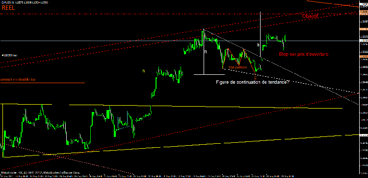 bat pattern plus triangle de continuation.gif