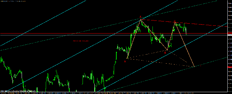 butterfly bull eurusd.gif