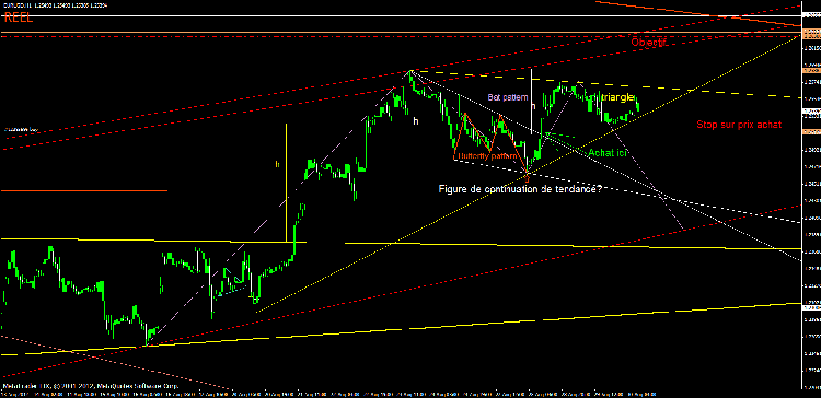 bat pattern plus triangle de continuation 2.gif