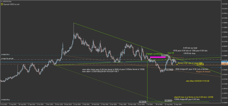 43.a2 USDZARDaily.png