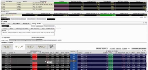 LYNX Masterclass 👨‍🏫 "Devenez un Expert en Options grâce à la Trader Workstation" C. TSHIAMANGA