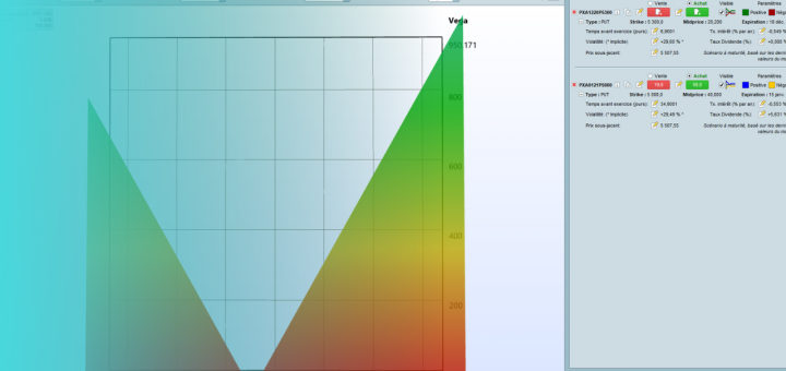 Stratégies Optionnelles