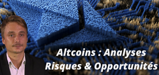Altcoins : Analyses des Risques et Opportunités avec Vincent BOY @IG France