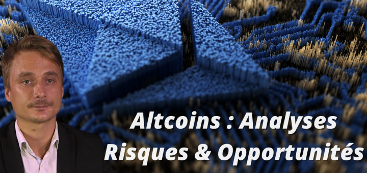Altcoins : Analyses des Risques et Opportunités avec Vincent BOY @IG France