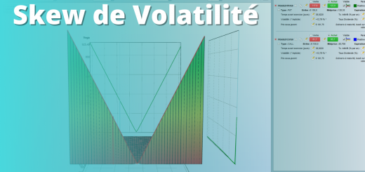 Skew de Volatilité sur Options